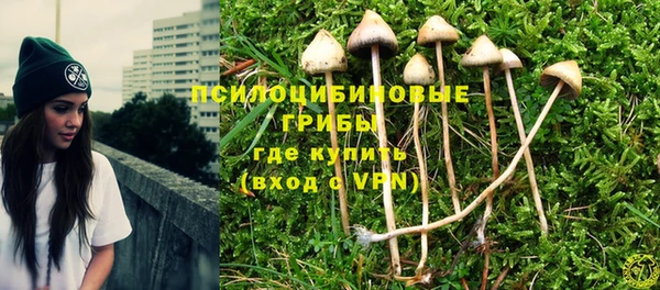 марки nbome Алзамай