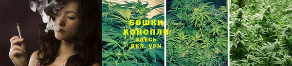 круглые Пересвет