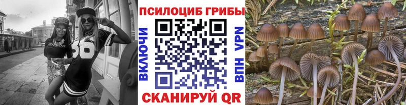 маркетплейс какой сайт  Похвистнево  Галлюциногенные грибы Cubensis 