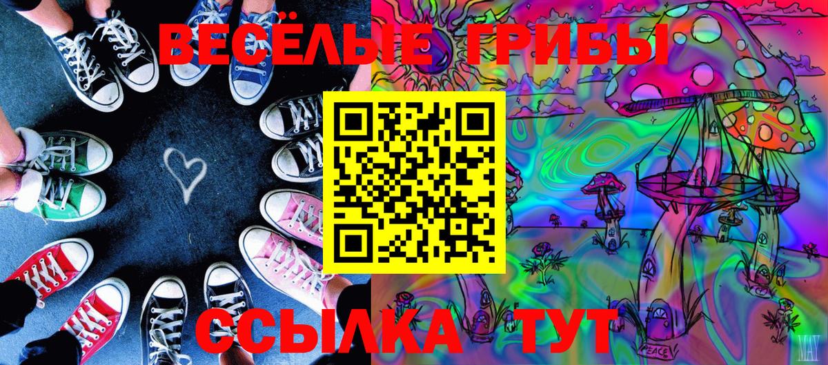 Псилоцибиновые грибы Psilocybe Похвистнево