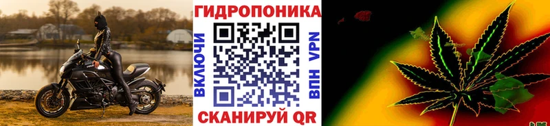 Бошки Шишки гибрид  мориарти как зайти  Похвистнево 